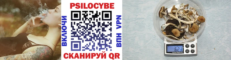 Псилоцибиновые грибы мухоморы Аша
