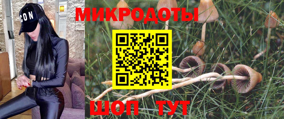 Галлюциногенные грибы мухоморы  Вход с VPN  Аша 