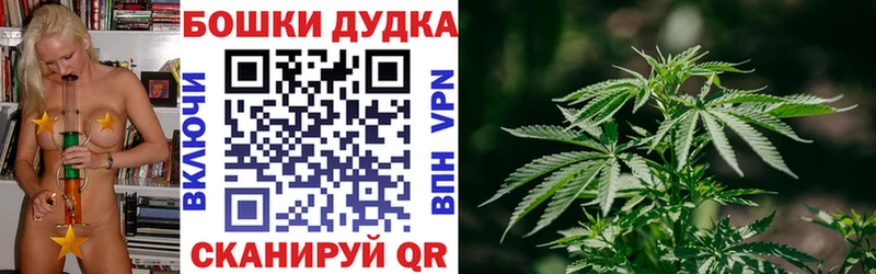 MEGA зеркало  Аша  Каннабис планчик 
